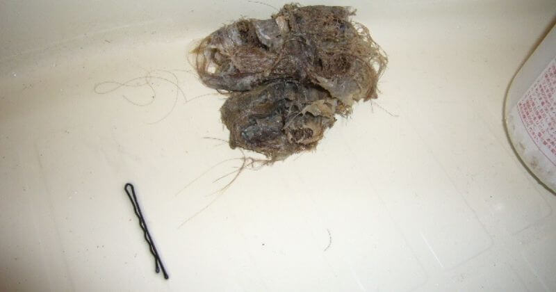 排水トラップから除去した髪の毛とヘアーピン